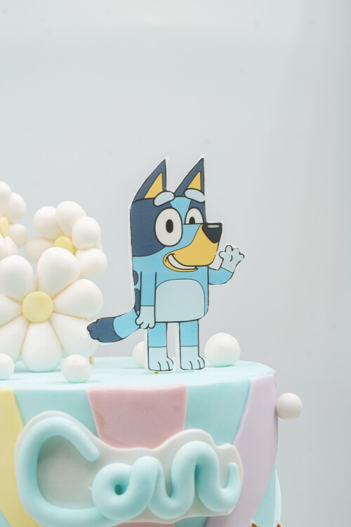 BLUEY TEMALI BUTİK PASTA