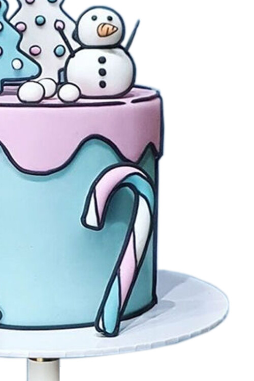 Cartoon Cake Kış Temalı Pasta