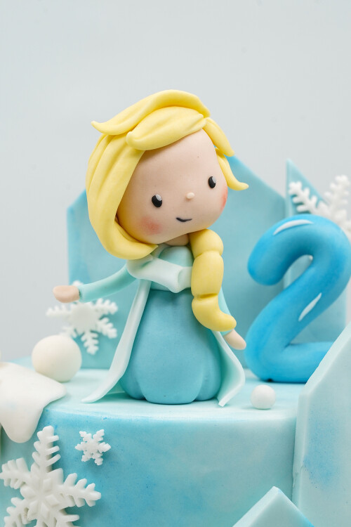 KARLAR ÜLKESİ TEMALI BUTİK PASTA