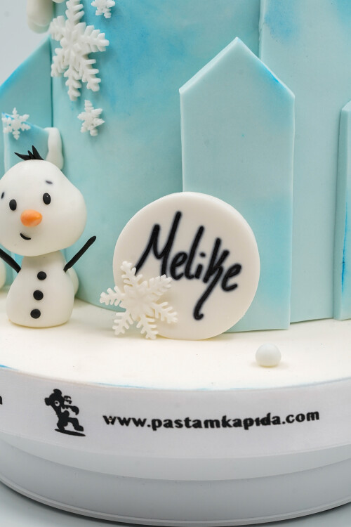 KARLAR ÜLKESİ TEMALI BUTİK PASTA