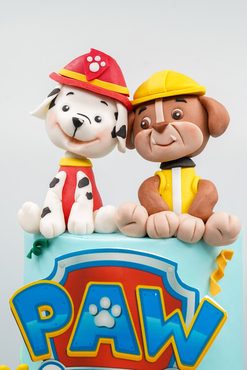 PAW PATROL TEMALI BUTİK PASTA