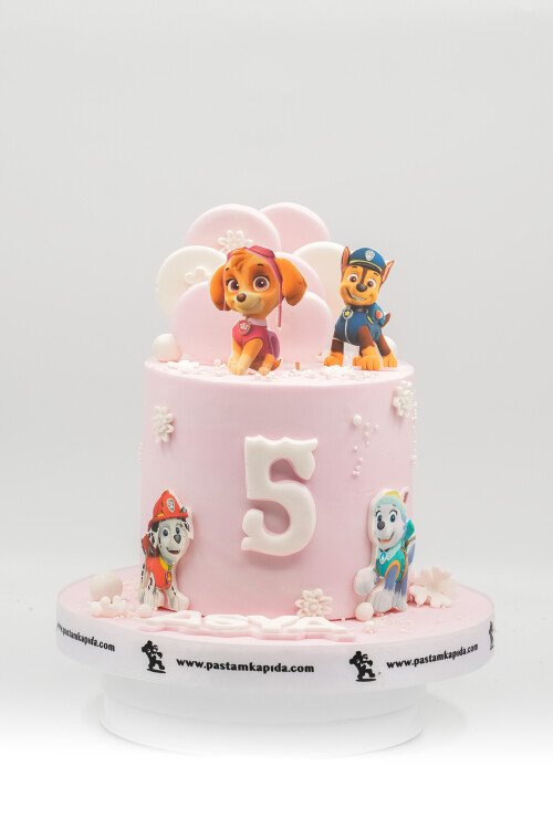 PAW PATROL 1 TEMALI BUTİK PASTA