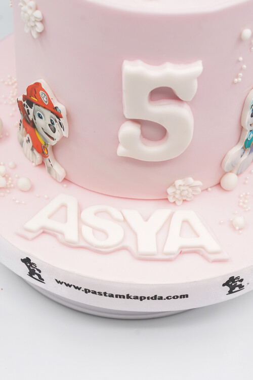 PAW PATROL 1 TEMALI BUTİK PASTA