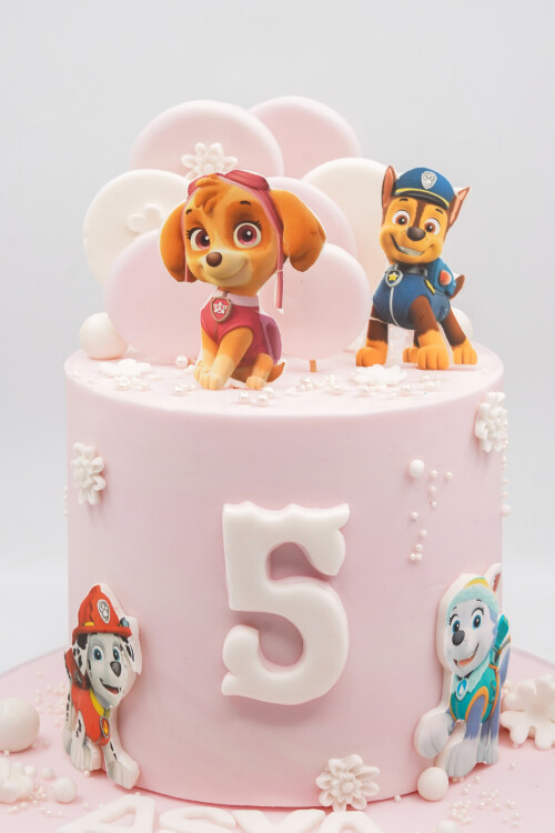 PAW PATROL 1 TEMALI BUTİK PASTA