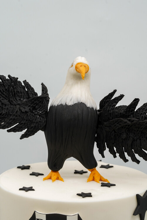 BEŞİKTAŞ TEMALI BUTİK PASTA