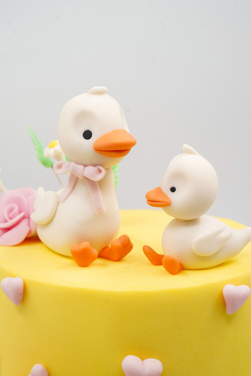 ÖRDEK TEMALI BUTİK PASTA