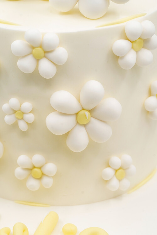 PAPATYA TEMALI BUTİK PASTA