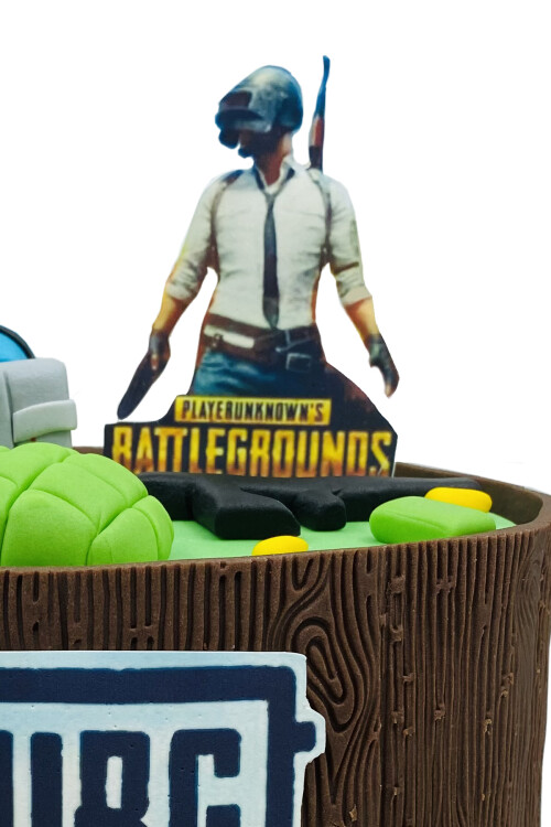 PUBG Temalı Pasta
