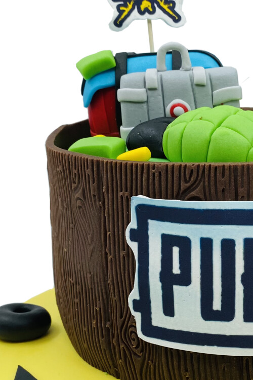 PUBG Temalı Pasta