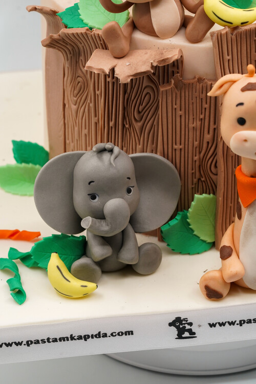 SAFARİ 1 TEMALI BUTİK PASTA