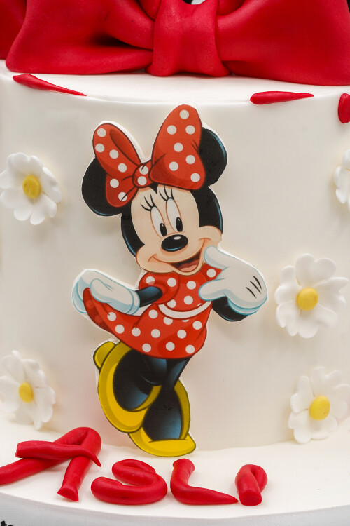 MİCKEY MOUSE TEMALI BUTİK PASTA