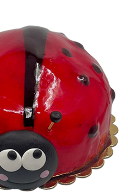 Uğur Böcekli Pasta