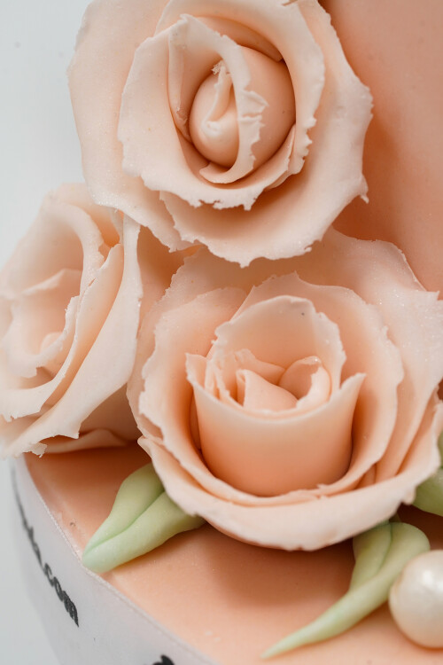 BALERİN TEMALI BUTİK PASTA