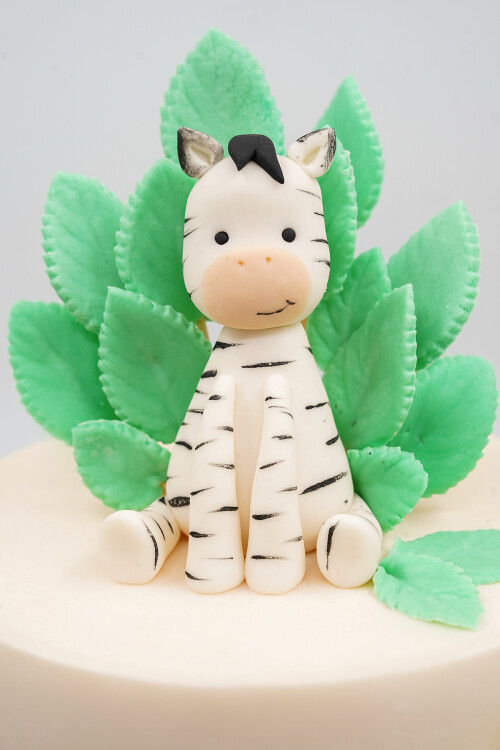 SAFARİ TEMALI BUTİK PASTA