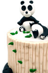 Bambu ve Panda Temalı Pasta
